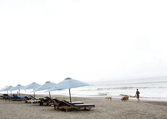 Harmony - * Seminyak (Bali)